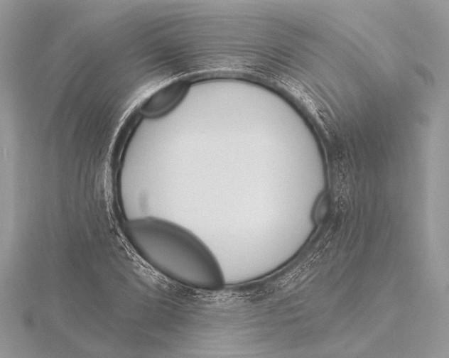 X0000115771072200912041427