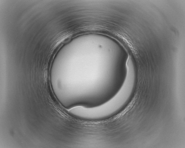 X0000115771073200912041427