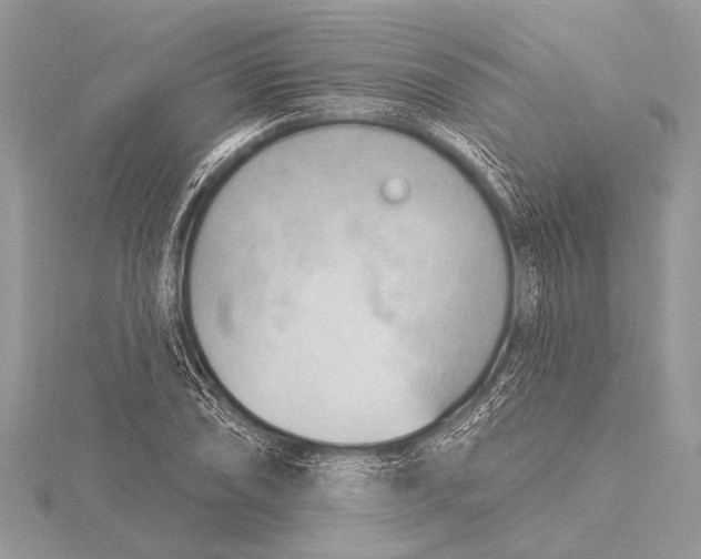 X0000115771074200912041427