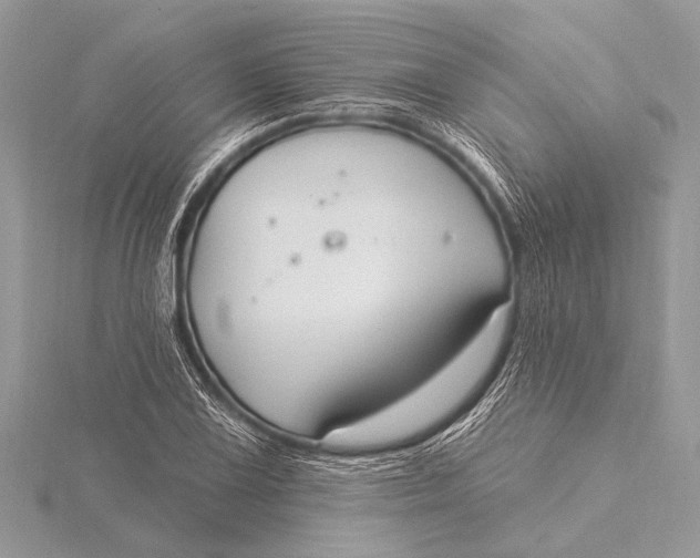 X0000115771075200912041427