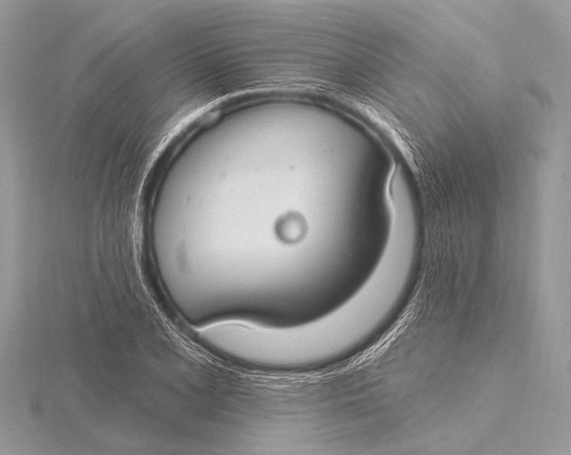 X0000115771077200912041427