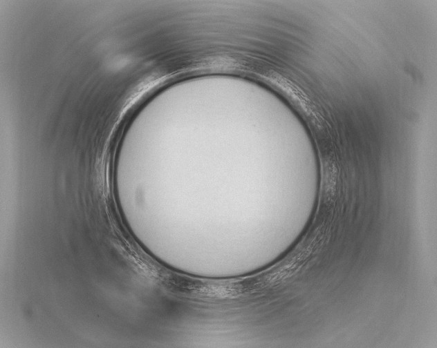 X0000115771078200912041427