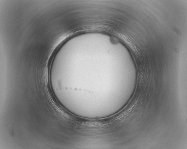 X0000115771079200912041427