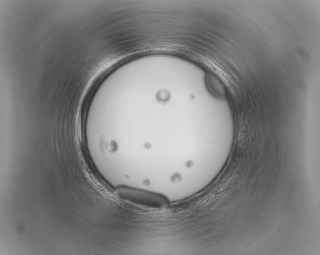 X0000115771080200912041427