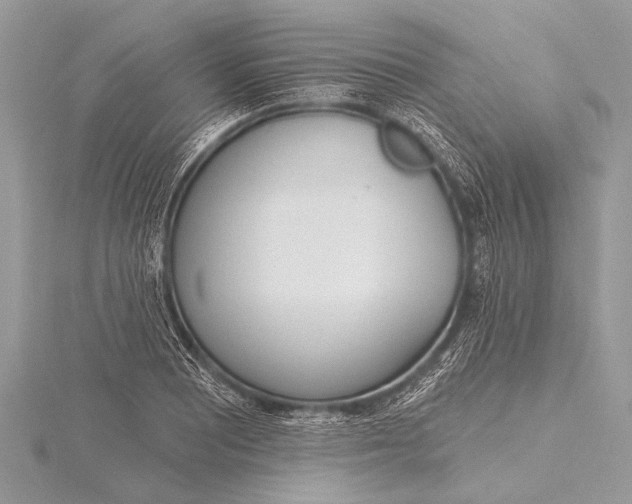 X0000115771081200912041427