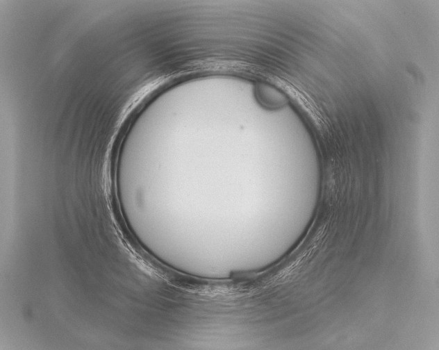 X0000115771082200912041427