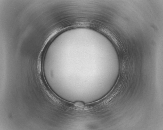 X0000115771083200912041427