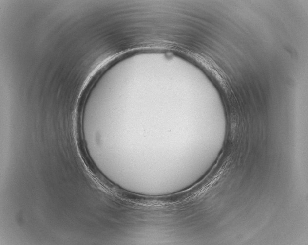 X0000115771085200912041427