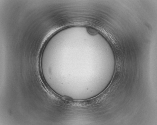 X0000115771086200912041426