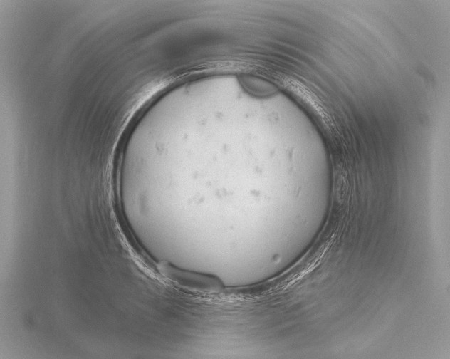 X0000115771087200912041426