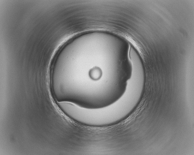 X0000115771088200912041426