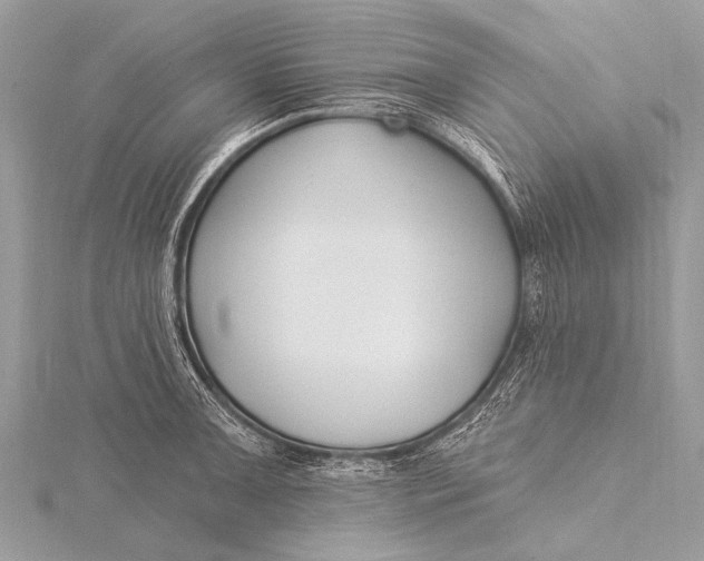 X0000115771091200912041426