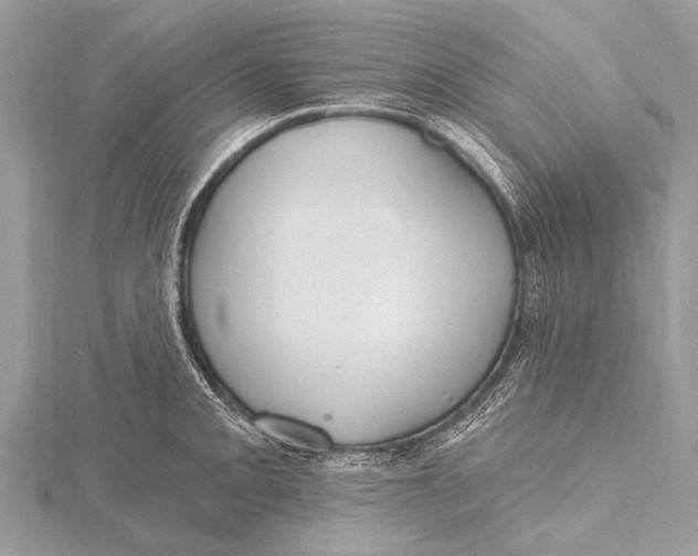 X0000115771093200912041426