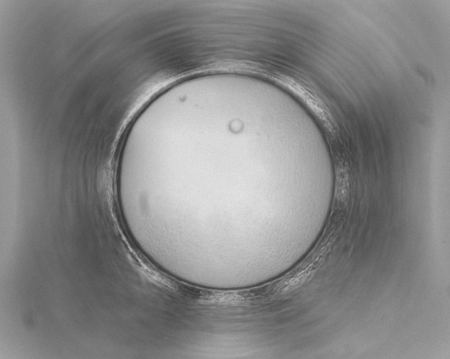 X0000115771094200912041426