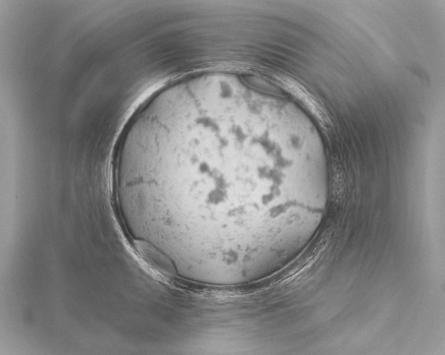 X0000115771095200912041426