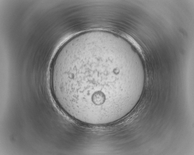 X0000115771096200912041426