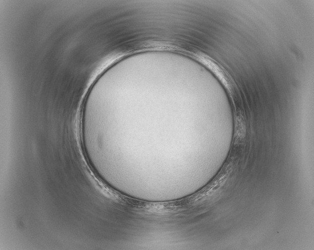 X0000115771098200912041426