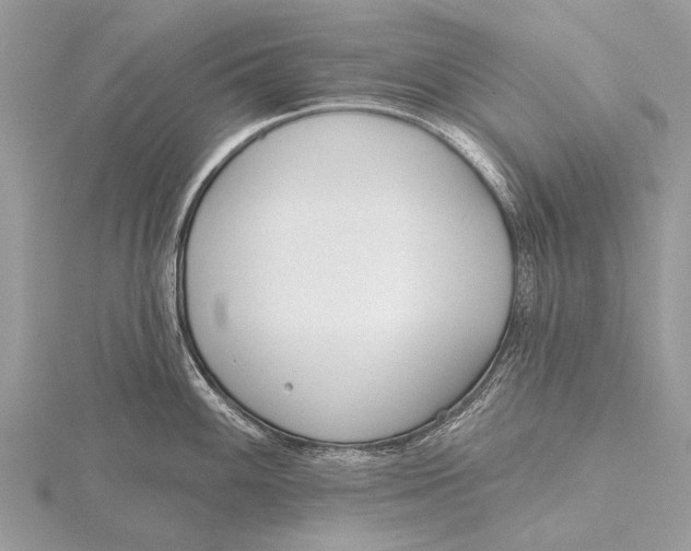 X0000115771100200912041426