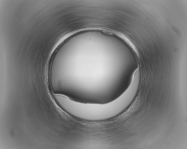 X0000115771101200912041426