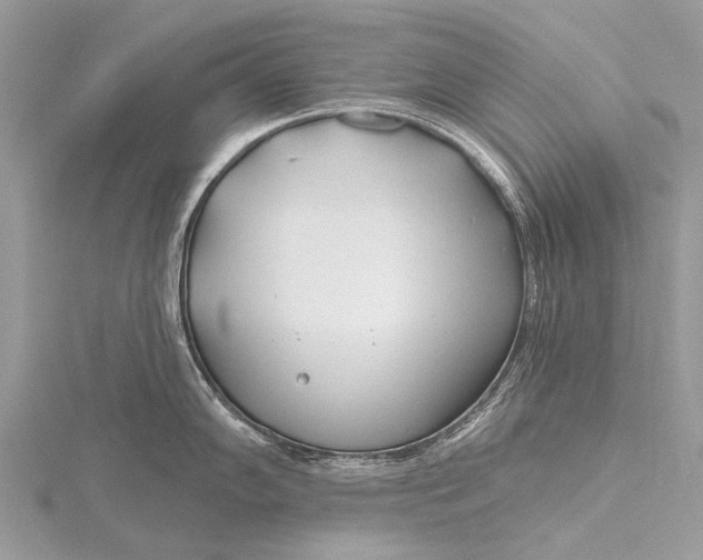 X0000115771102200912041426