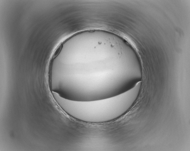 X0000115771104200912041426