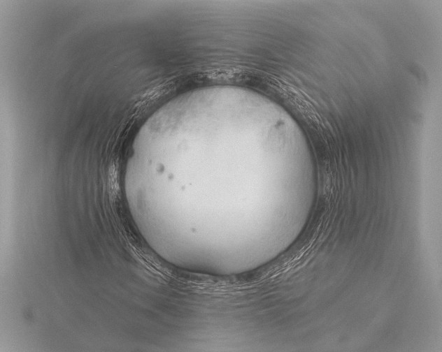 X0000115771106200912041426