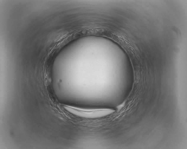 X0000115771109200912041426