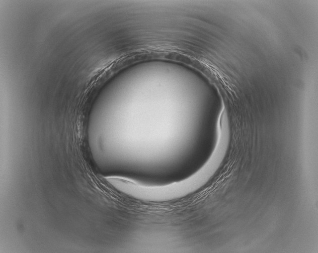 X0000115771110200912041426