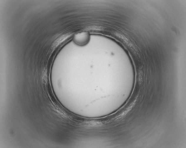 X0000115771113200912041426