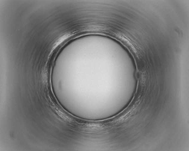 X0000115771114200912041426