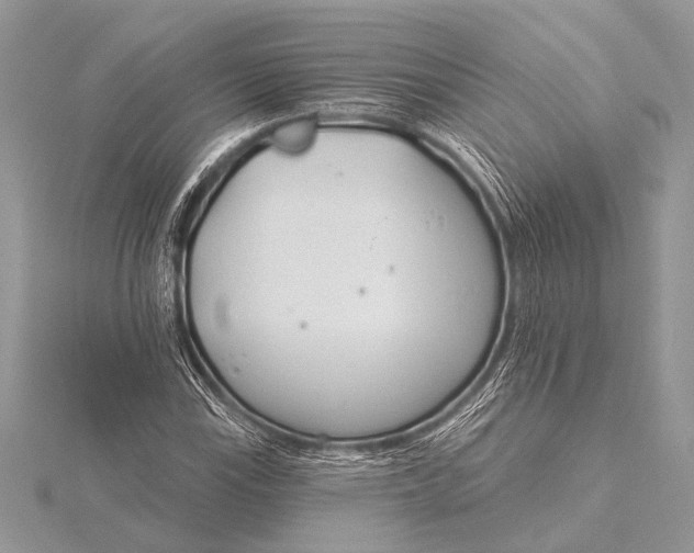 X0000115771115200912041426