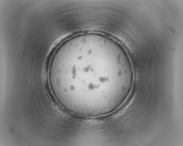 X0000115771117200912041426