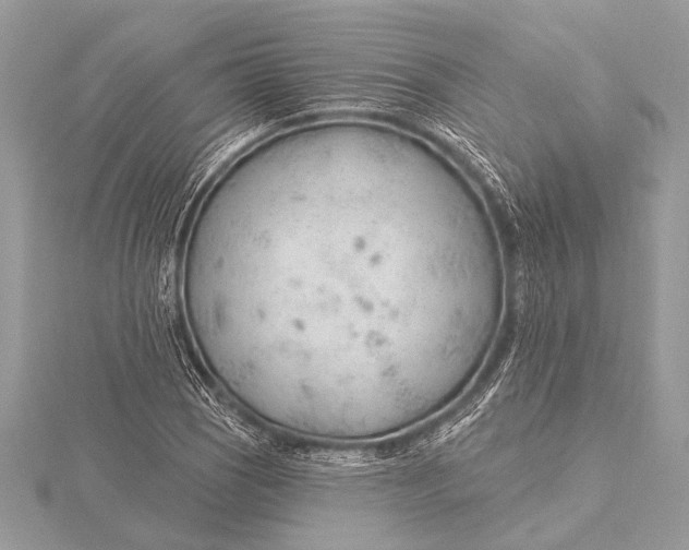 X0000115771121200912041426