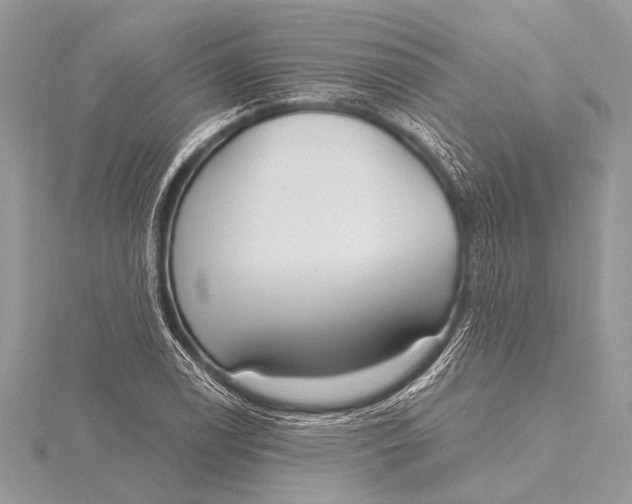 X0000115771122200912041426