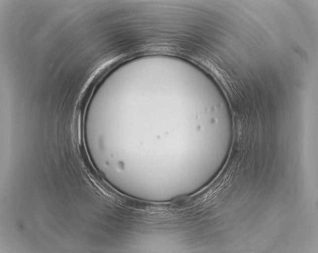 X0000115771123200912041426