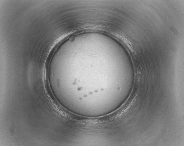 X0000115771125200912041426