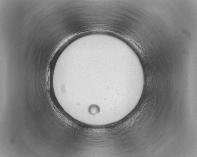 X0000115771126200912041426