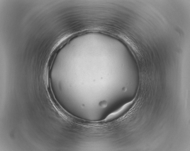 X0000115771127200912041426