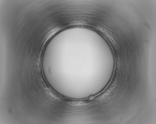 X0000115771129200912041426