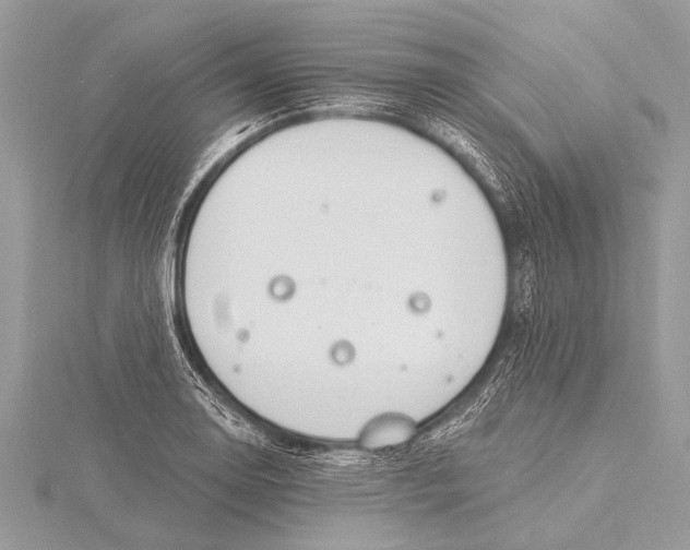 X0000115771130200912041426