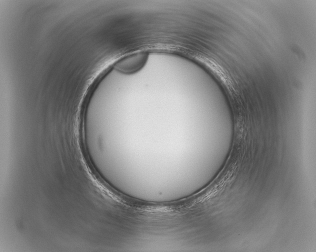 X0000115771135200912041426