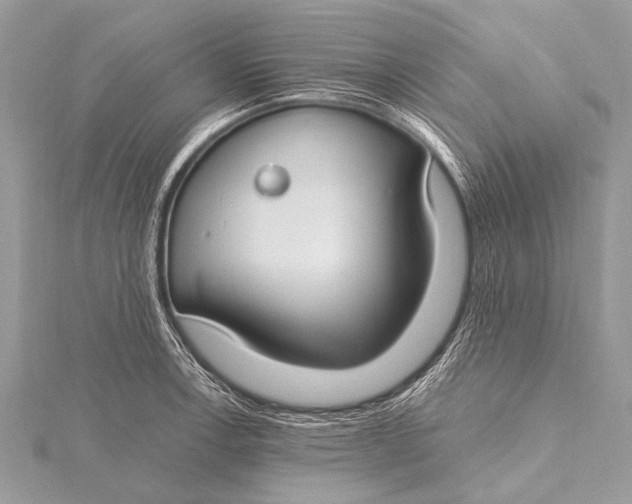 X0000115771138200912041426