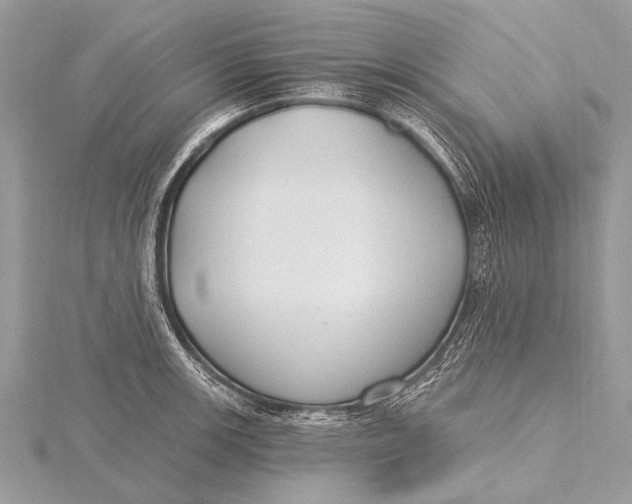 X0000115771139200912041426