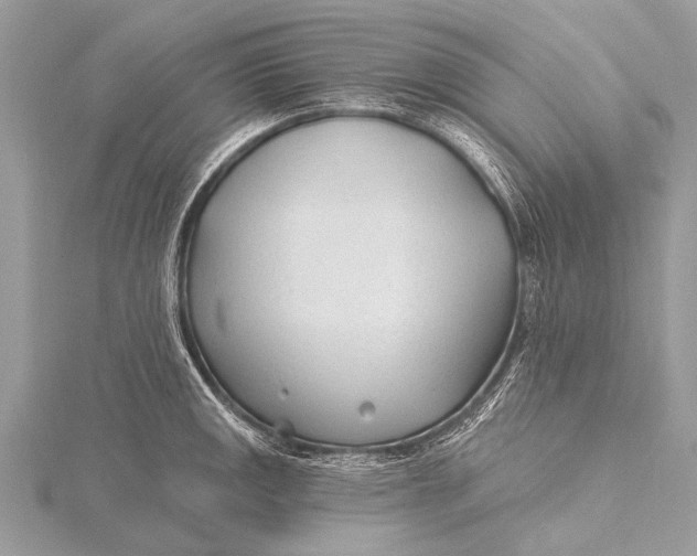 X0000115771141200912041426