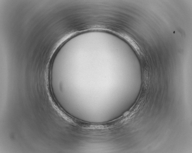 X0000115771142200912041426