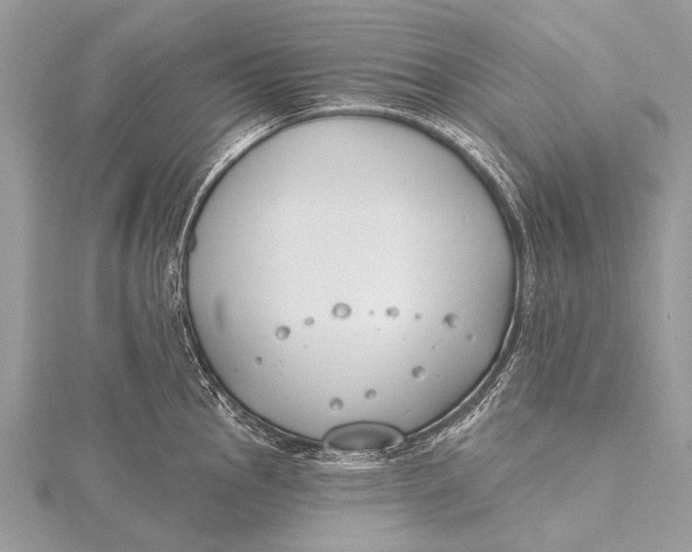 X0000115771145200912041426