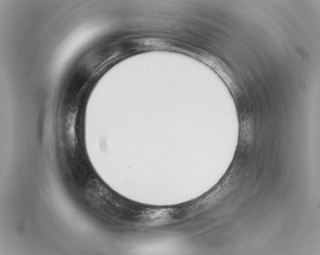 X0000115771150200912041426