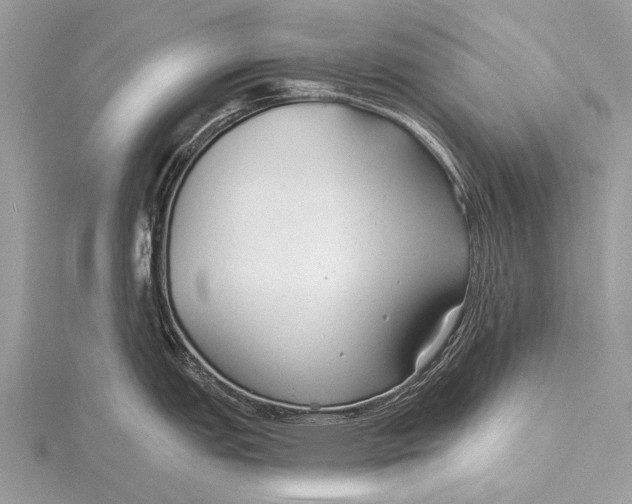 X0000115771151200912041426