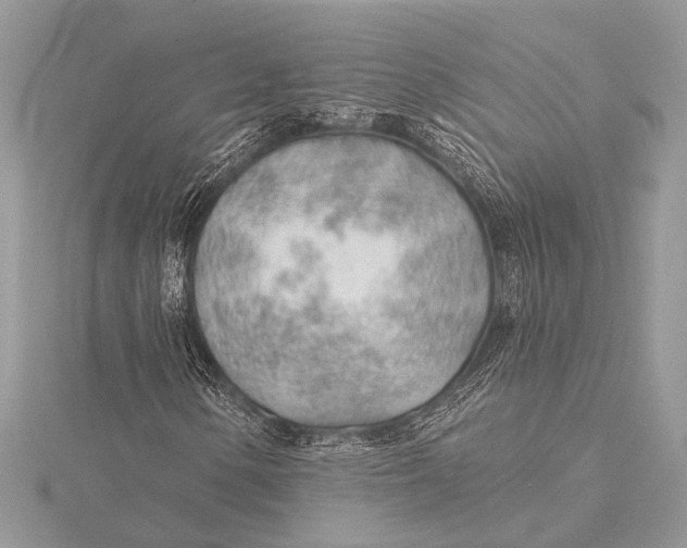 X0000115771154200912041426