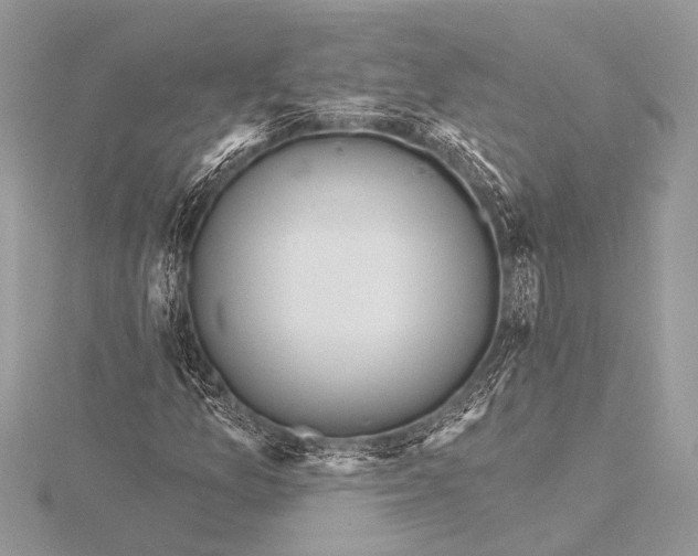 X0000115771157200912041426